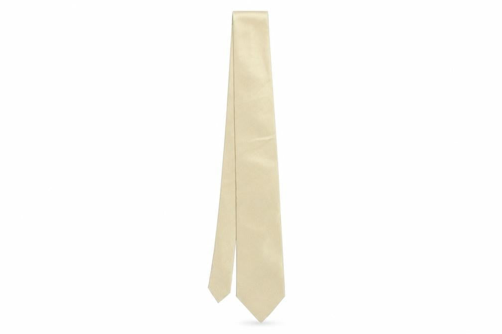 Milan Mens Gold Silk Pointed Tie One Size