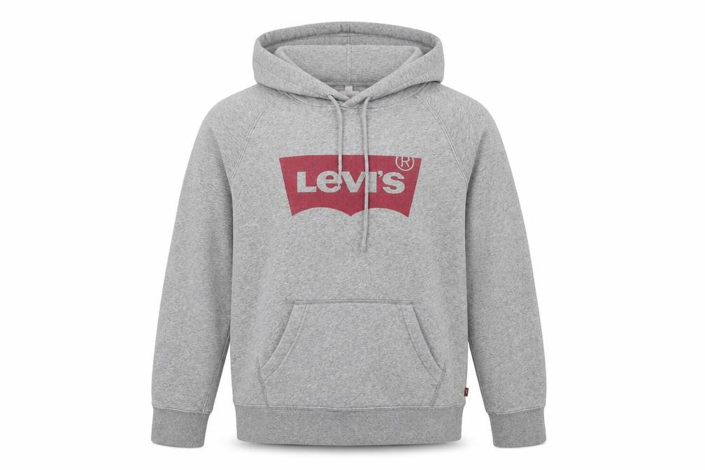 Levi's Mens Grey Cotton Pullover Hoodie Size XS