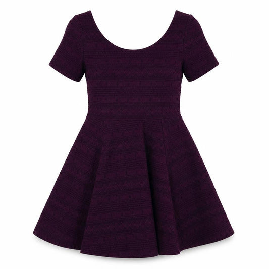 H&M Womens Purple Polyester Skater Dress Size S Scoop Neck Pullover