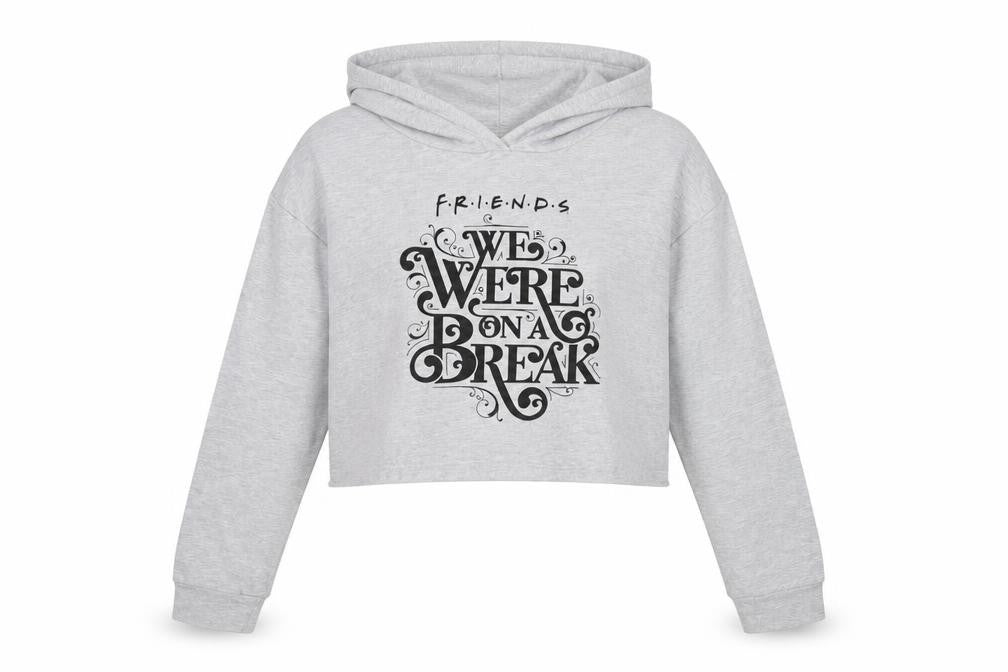 Friends Womens Grey Cotton Pullover Hoodie Size 12 Pullover