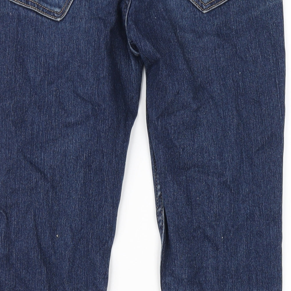H&M Womens Blue Cotton Skinny Jeans Size 27 in L28 in Regular Zip
