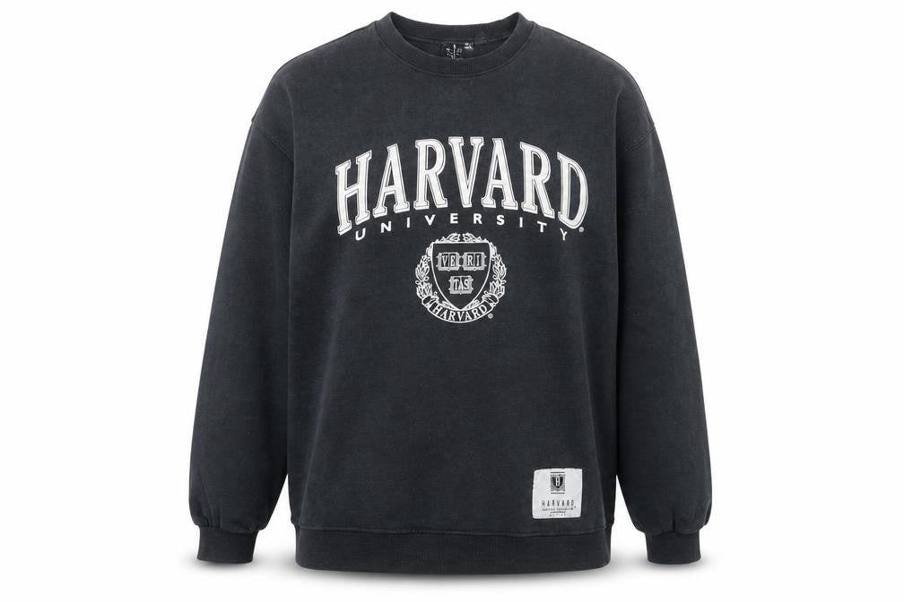 H&M Womens Grey Cotton Pullover Sweatshirt Size S Pullover