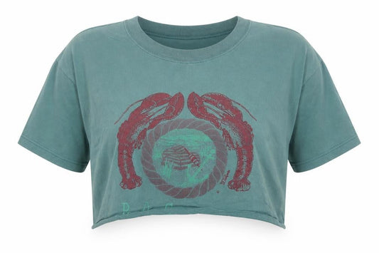 Earth Womens Blue Cotton Cropped T-Shirt Size L Crew Neck
