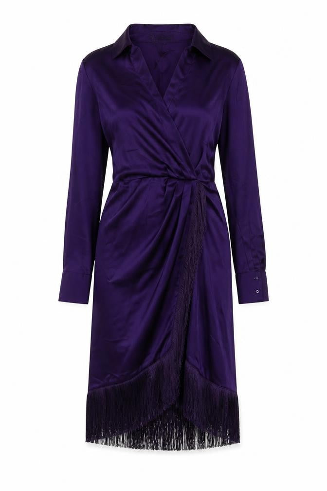 Zara Womens Purple Polyester A-Line Size XS V-Neck Zip - Tasseled