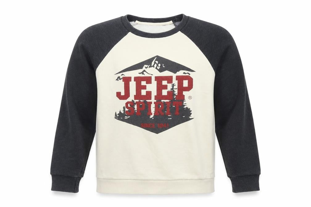 Jeep Boys Beige Colourblock Polyester Pullover Sweatshirt Size S Pullover