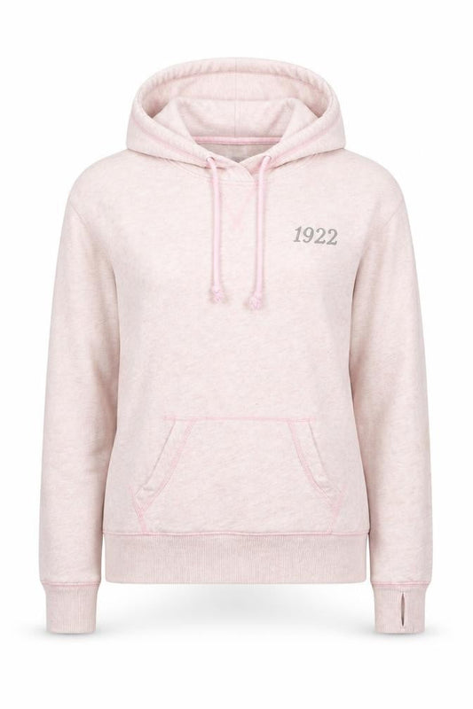 Hollister Womens Pink Cotton Pullover Hoodie Size S Pullover - Logo