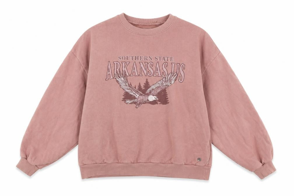 Pacific Republic Womens Pink Cotton Pullover Sweatshirt Size S Pullover - Southern State, Arkansas US