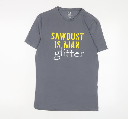 H&M Mens Grey Cotton T-Shirt Size S Crew Neck - Sawdust is man glitter