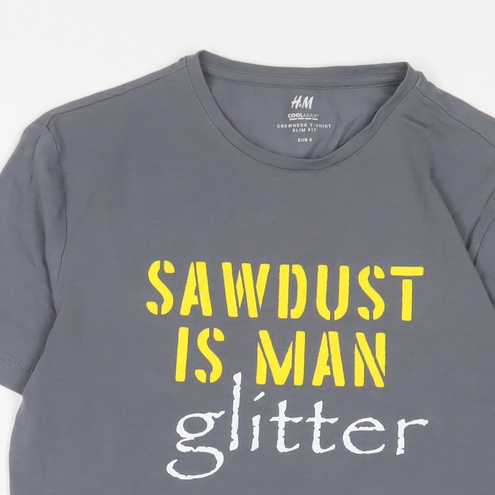 H&M Mens Grey Cotton T-Shirt Size S Crew Neck - Sawdust is man glitter