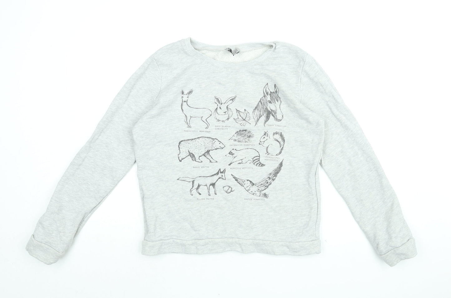 ASOS Womens Grey Cotton Pullover Sweatshirt Size 14 Pullover - Animal Print, Horse, Rabbit