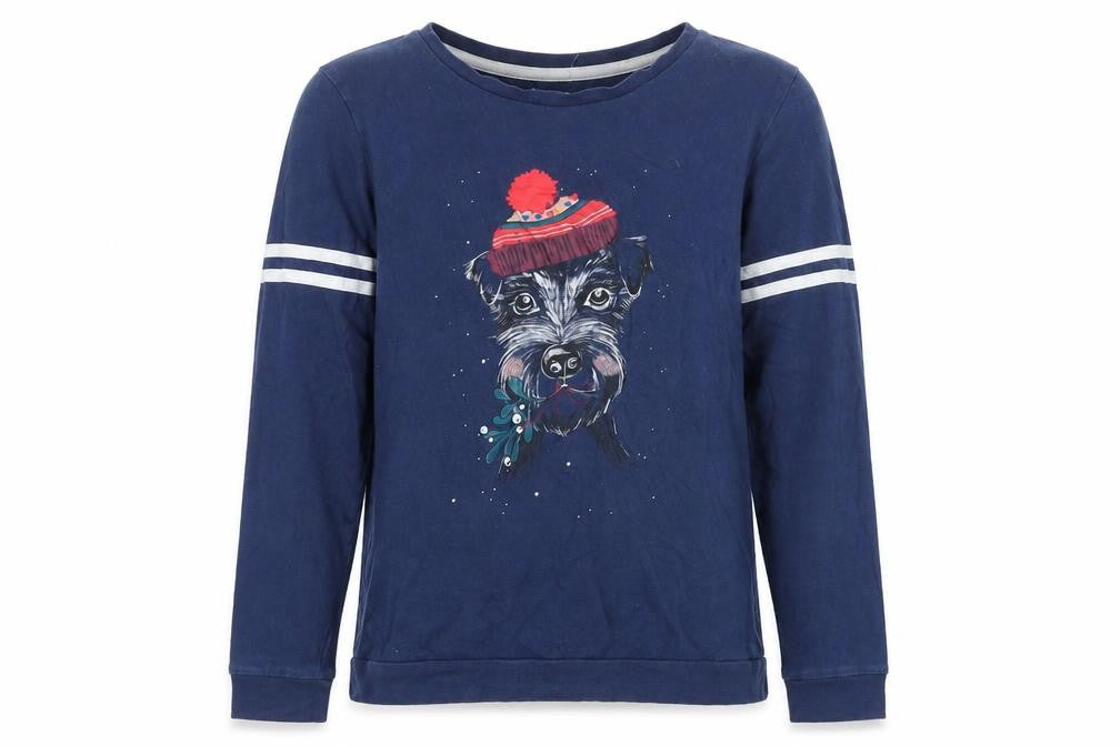 Marks & Spencer Girls Blue Polyester Pullover Sweatshirt Size 14-15 Years Pullover - Dog
