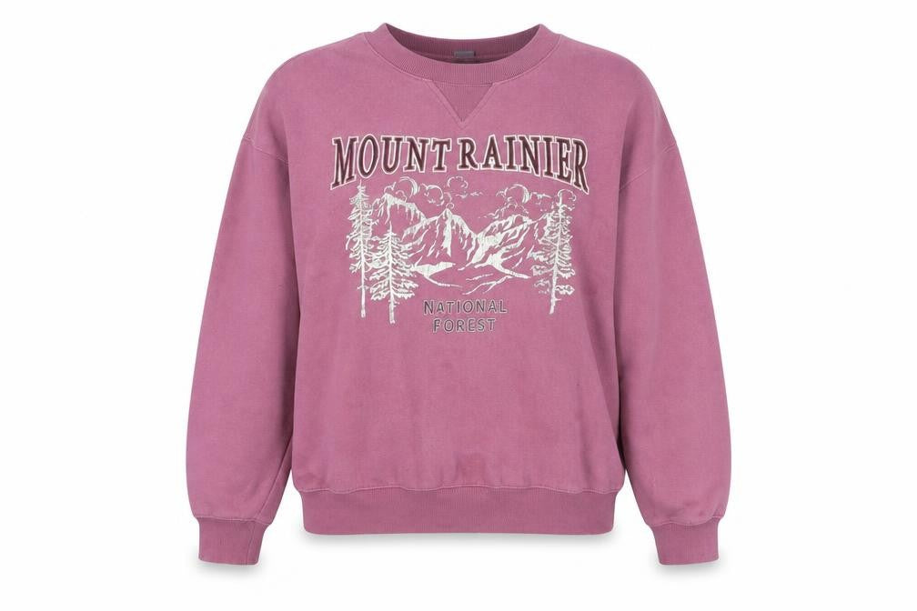 H&M Womens Pink Cotton Pullover Sweatshirt Size S Pullover - Mount Rainier National Forest