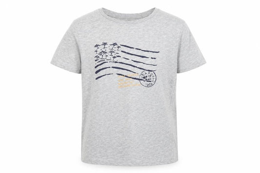 La Redoute Boys Grey Cotton Basic T-Shirt Size 12 Years Round Neck Pullover - Post office Air mail Passport International