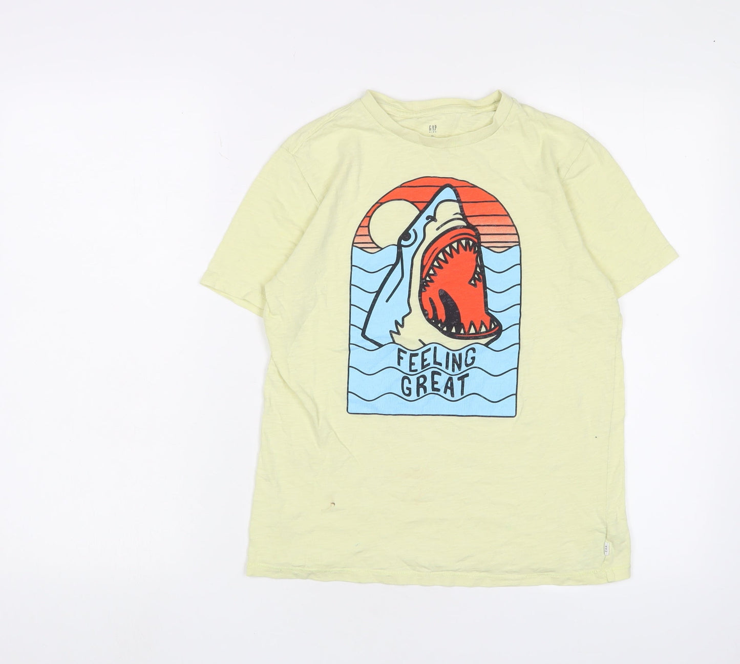 Gap Clothing Bundle - 5 Pack Preloved Boys T-Shirts, Tops & Shirts