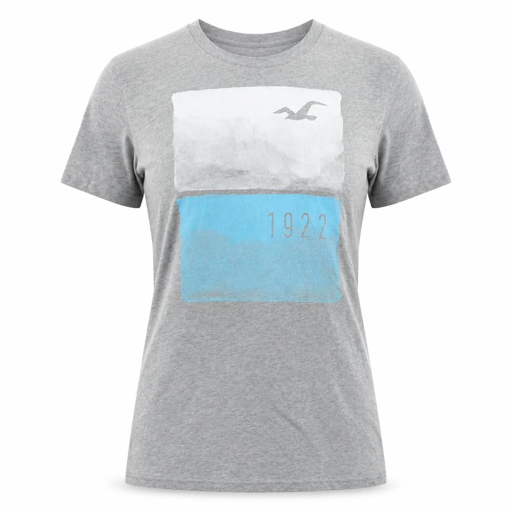 Hollister Unisex Grey T-Shirt M Crew Neck Casual