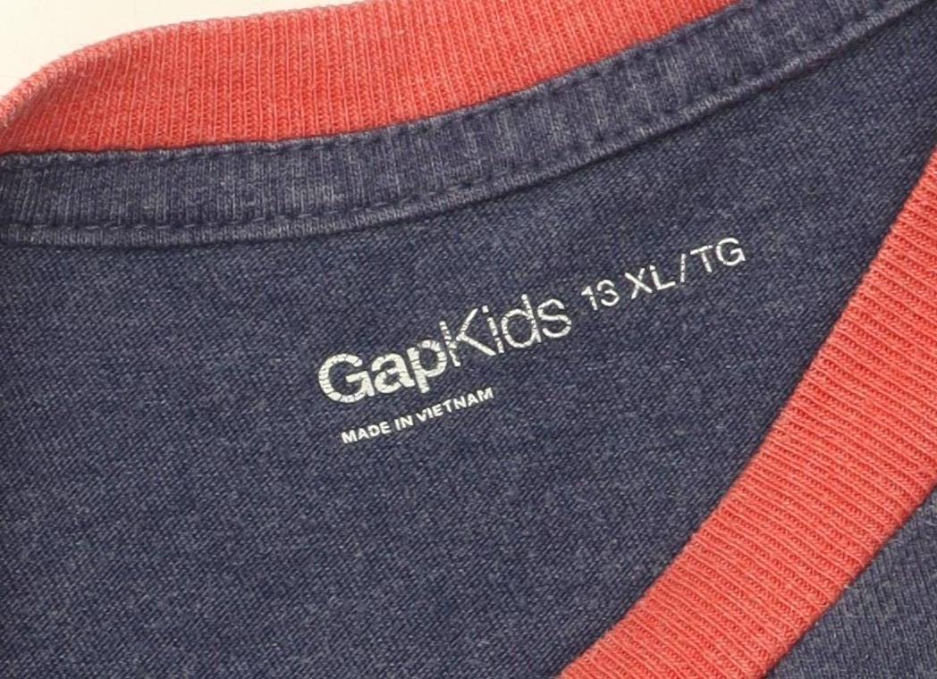 Gap Kids Boys Blue Graphic T-Shirt 13 Years Casual Logo