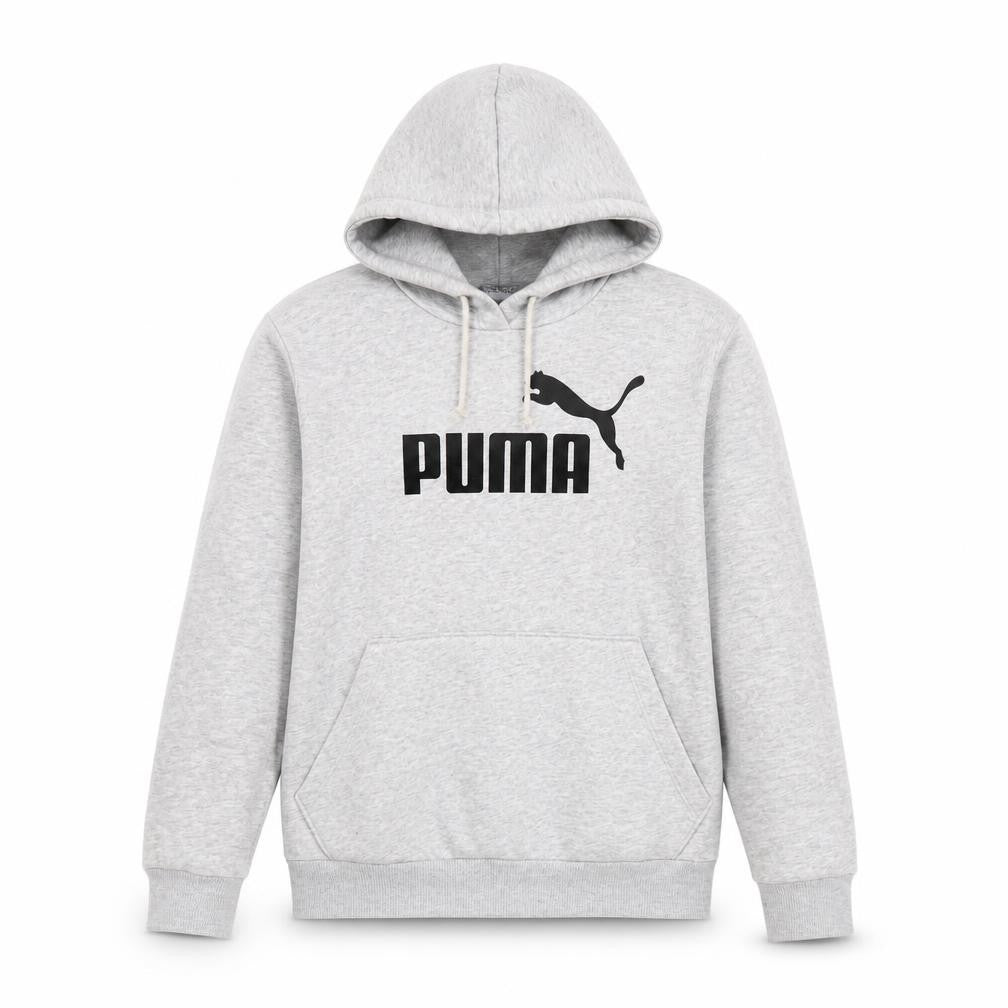 Puma Boys Grey Logo Hoodie 2XS Pullover