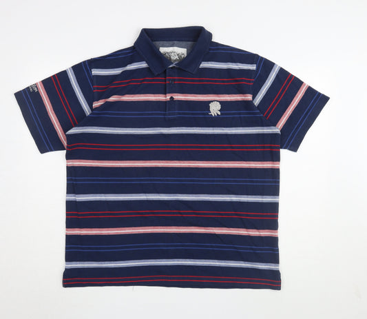 Cotton Traders Men's Blue Striped Polo Shirt L