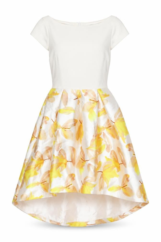 Lucy Wang Women's Floral Fit & Flare Dress - Size S