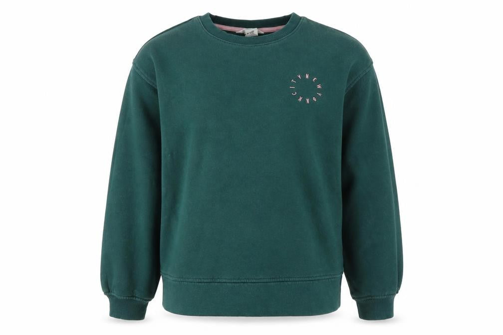 H&M Boys Green Graphic Print Pullover Sweatshirt