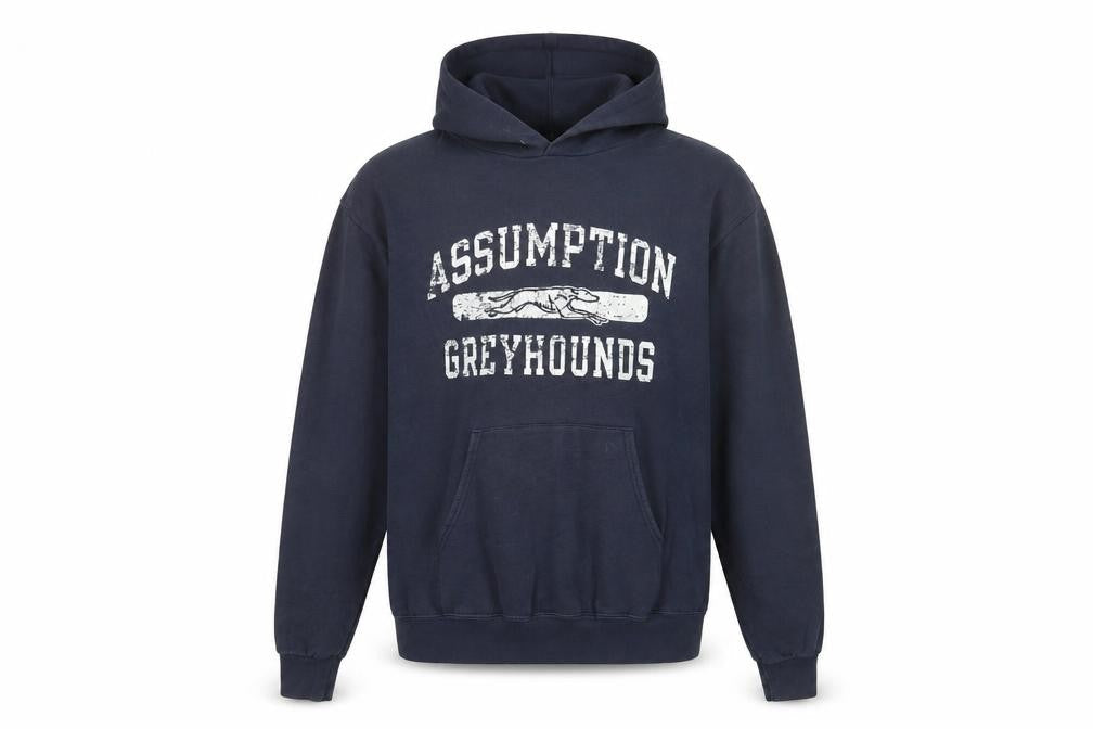 Champion Blue Hoodie Unisex Adult Medium Pullover