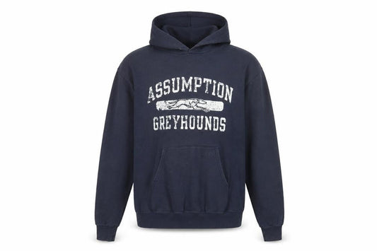 Champion Blue Hoodie Unisex Adult Medium Pullover