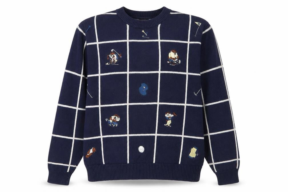 Warner Bros Unisex Blue Checked Sports Pullover S