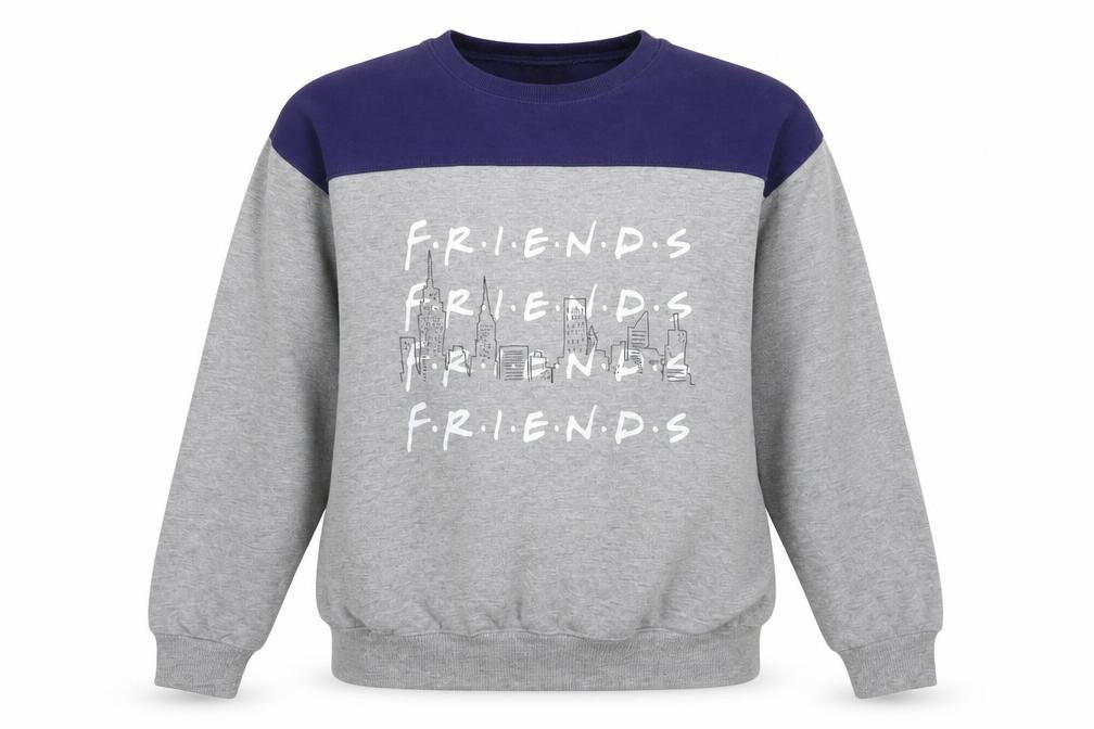 Friends TV Show Grey Sweatshirt, Medium, Unisex