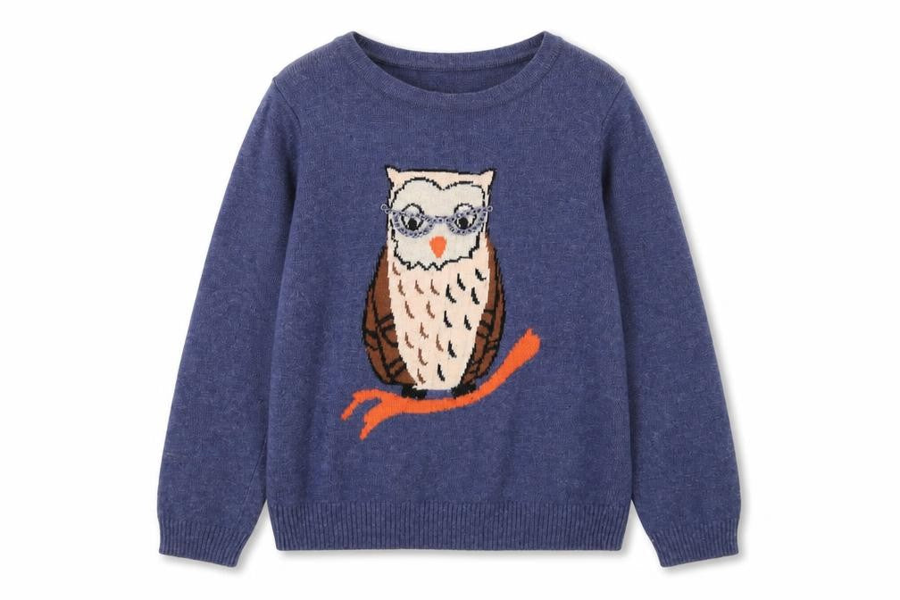 Yumi Girls Blue Owl Pullover Jumper 9-10 Years