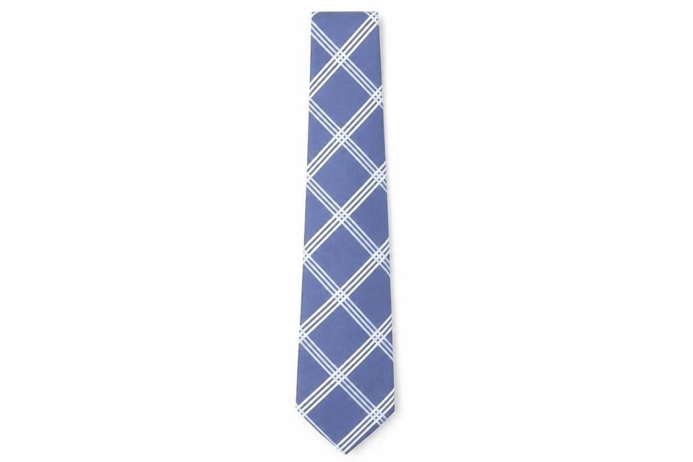 Racing Green Men's Blue Plaid Silk Tie - One Size
