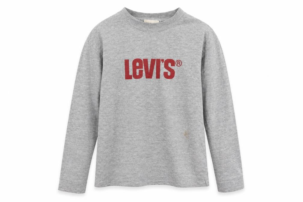 Levi's Boys Grey Logo Graphic Long Sleeve T-Shirt 11-12 Years