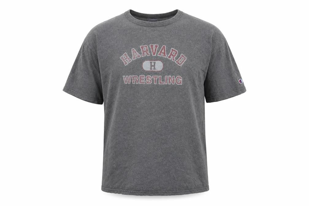 Champion Men's Grey L T-Shirt, Sports Theme, Cotton, Excellent
