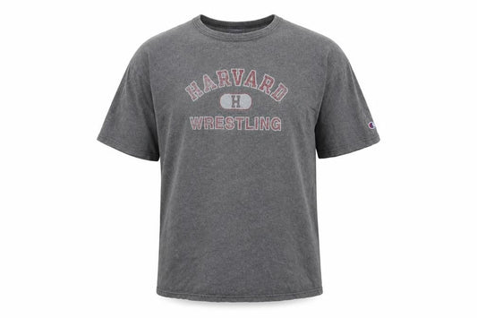 Champion Men's Grey L T-Shirt, Sports Theme, Cotton, Excellent