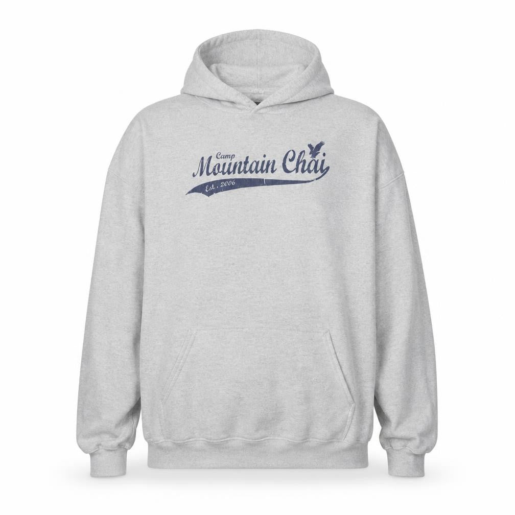 Hanes Men's Grey XL Pullover Hoodie with Graphic Print