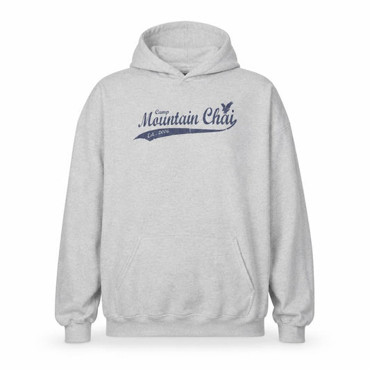 Hanes Men's Grey XL Pullover Hoodie with Graphic Print