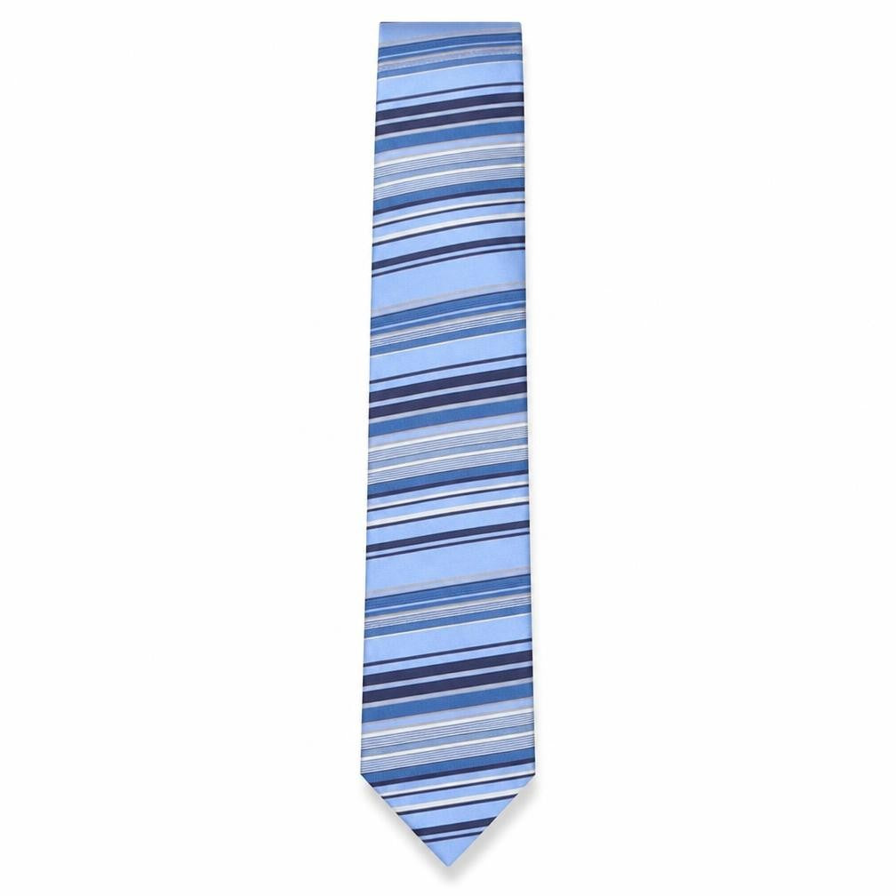 Pierre Cardin Men's Blue Striped Silk Tie, One Size