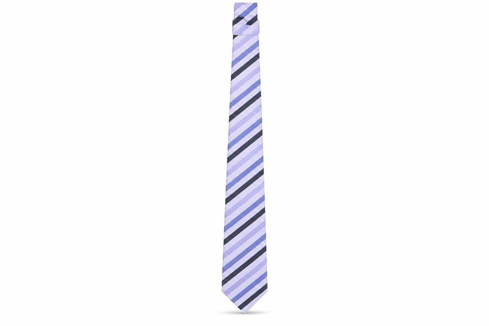 Dehavilland Men's Purple Striped Silk Tie