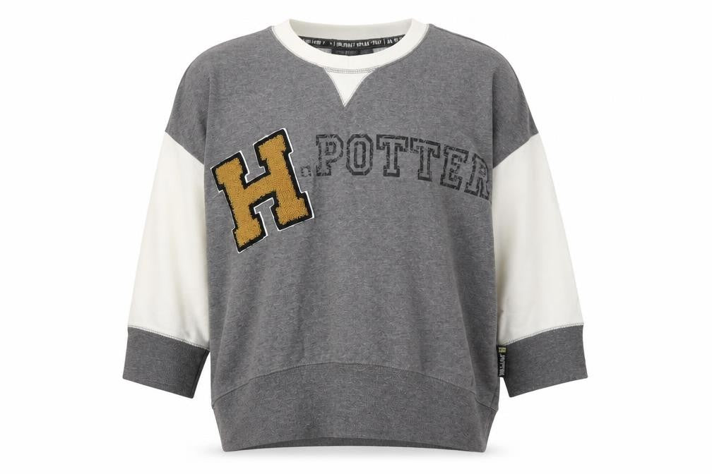 Harry Potter Women's Grey L Pullover Sweatshirt