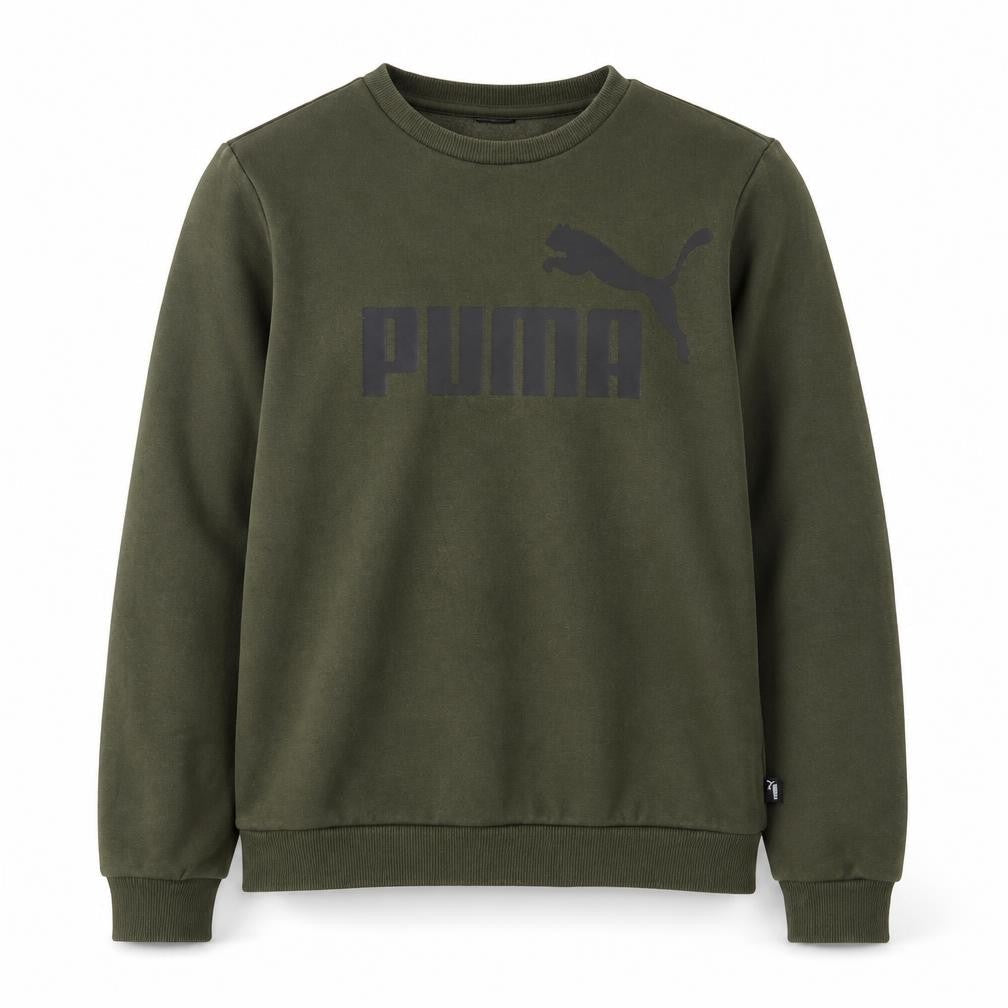 Puma Boys Green Logo Pullover Sweatshirt, 14 Years