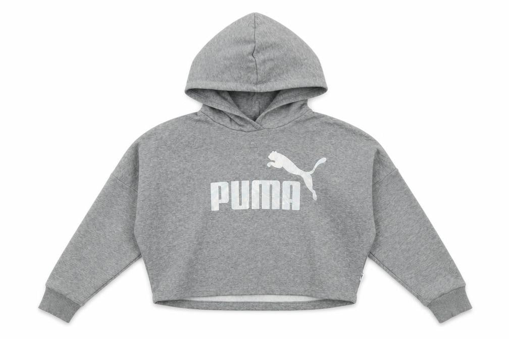 Puma Teens Grey Logo Pullover Hoodie, Size 9-10