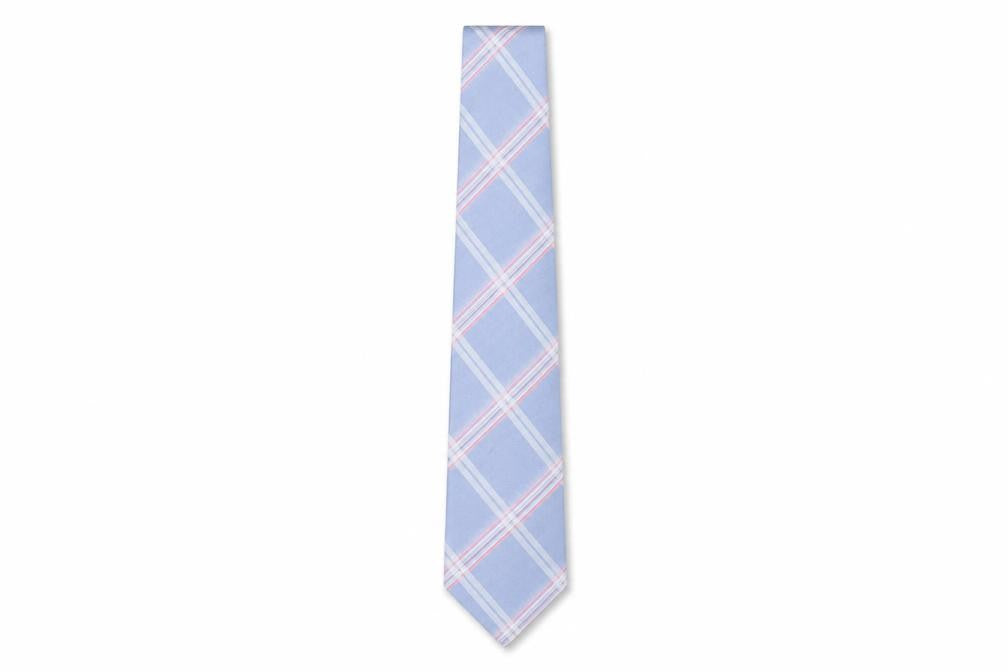 Thomas Nash Men's Blue Checkered Polyester Tie