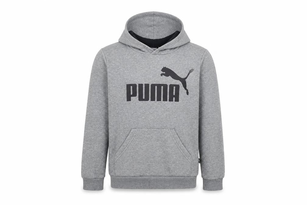 Puma Boys Grey Pullover Hoodie 9-10 Years Sports