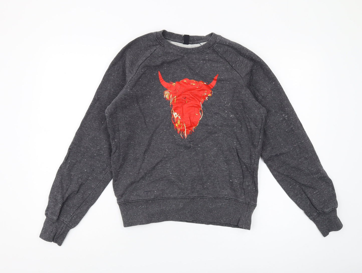 Earth Positive Men's Grey Graphic Print Sweatshirt S