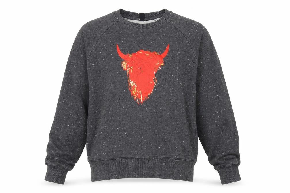 Earth Positive Men's Grey Graphic Print Sweatshirt S