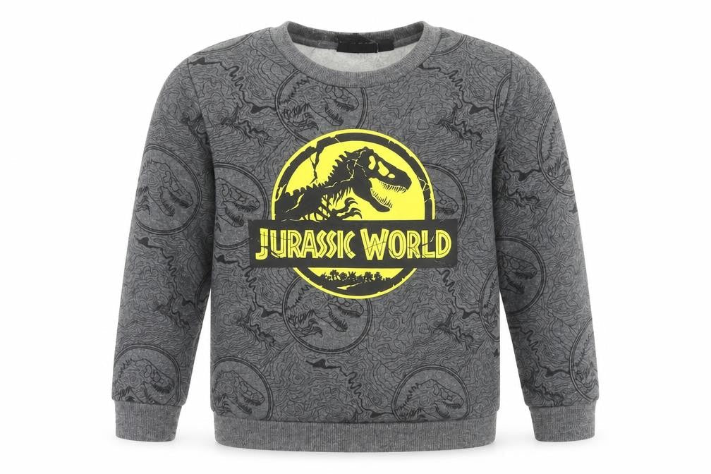 Jurassic World Boys Grey Sweatshirt 4-5 Years Pullover