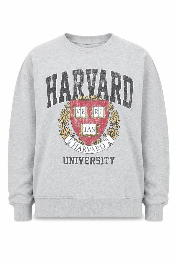 Very Unisex Adults Grey Harvard Sweatshirt, M, Pullover