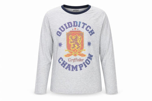 Harry Potter Girls Grey Gryffindor Graphic Long Sleeve T-Shirt