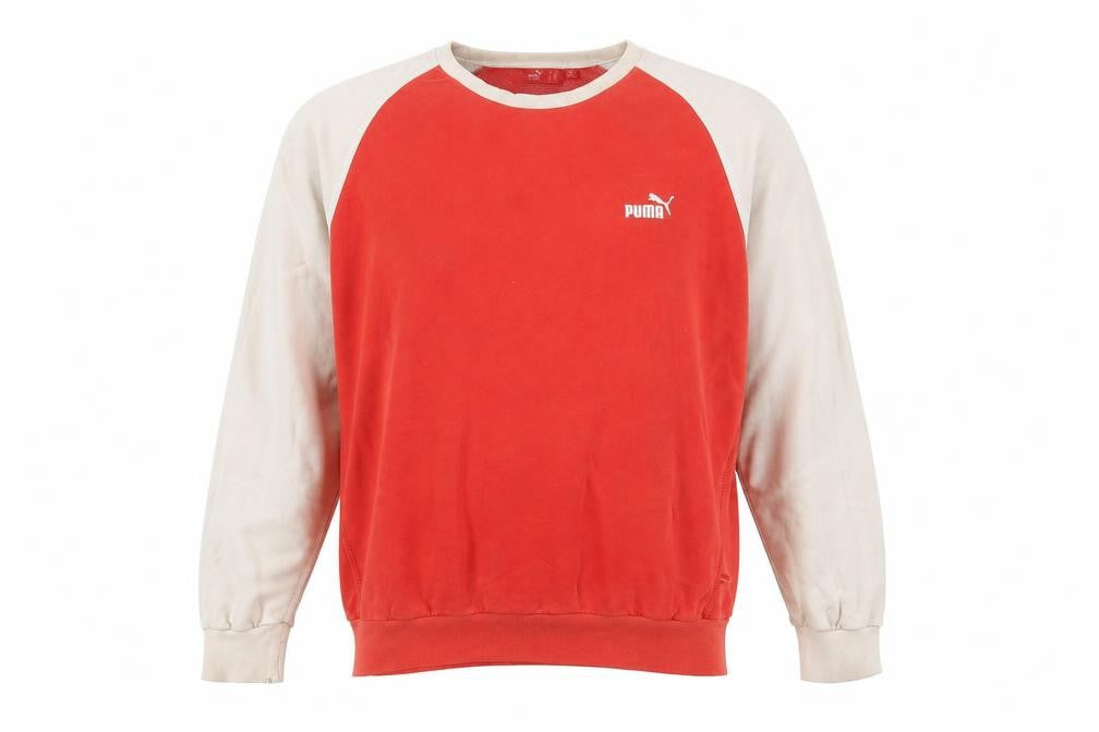 Puma Men's Multicoloured XL Pullover Sweatshirt