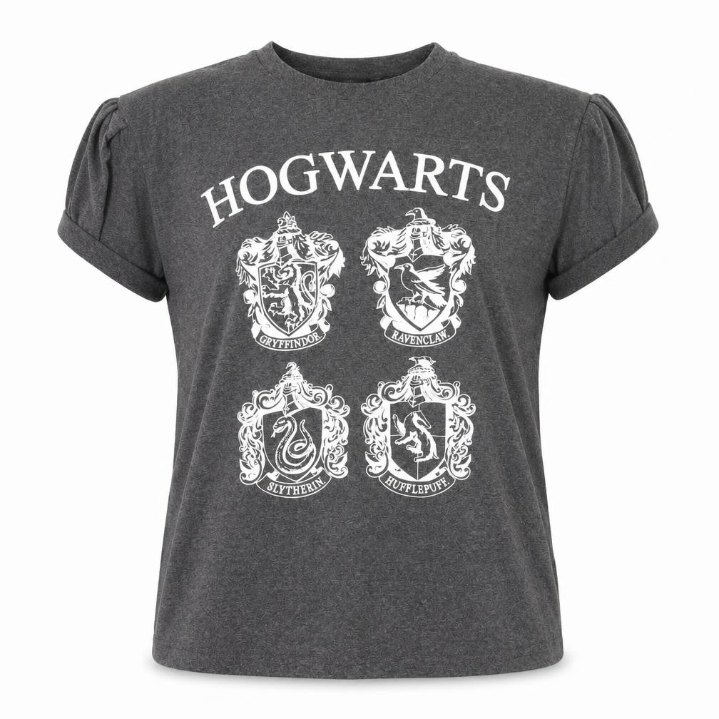 Harry Potter Unisex Grey Hogwarts T-Shirt, Size 12