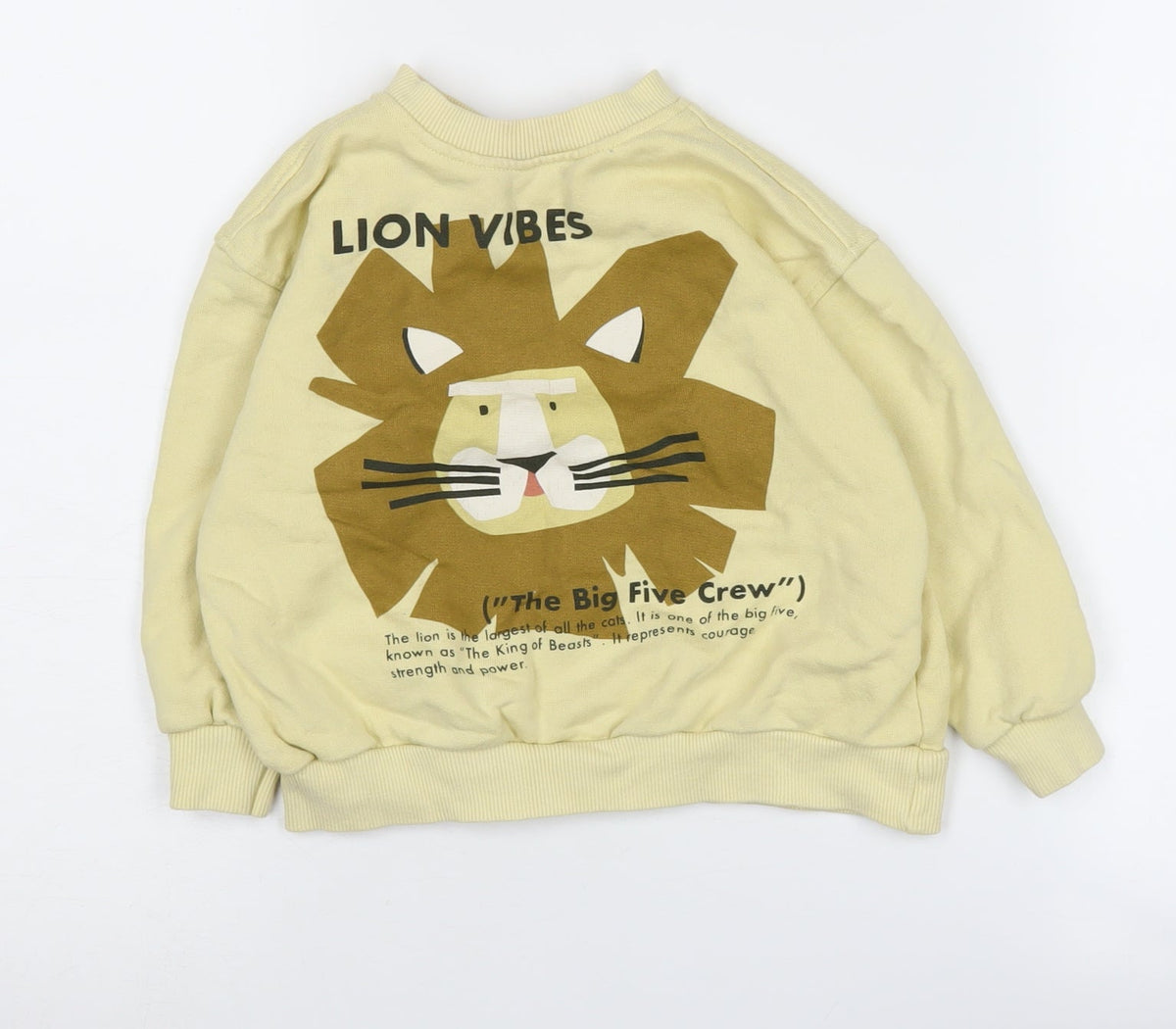 Additional front view of Zara boys’ beige graphic print sweatshirt 2-3 years pullover